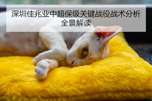 深圳佳兆业中超保级关键战役战术分析全景解读