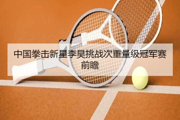 中国拳击新星李昊挑战次重量级冠军赛前瞻